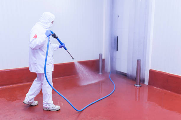 Best Solar Panel Cleaning  in Pine Castle, FL